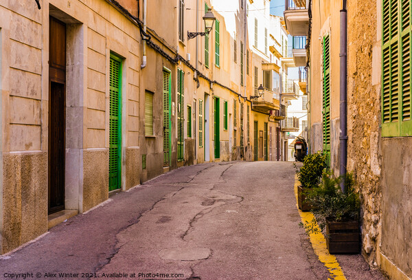 Mallorca Spain, street in the old town of Felanitx Picture Board by Alex Winter