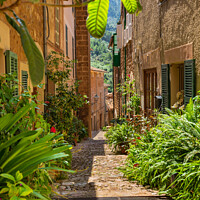 Buy canvas prints of Fornalutx, Spain, Mallorca by Alex Winter