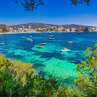 Buy canvas prints of Magaluf Beach by Alex Winter