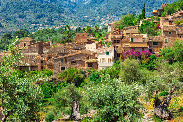 Fornalutx Mediterranean Village Picture Board by Alex Winter