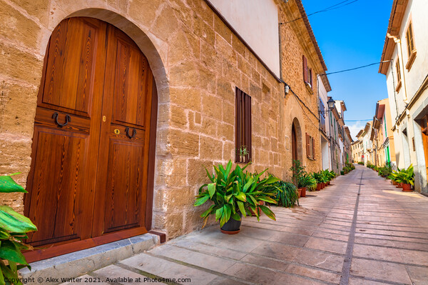 Street with potted plants in Alcudia old town Picture Board by Alex Winter