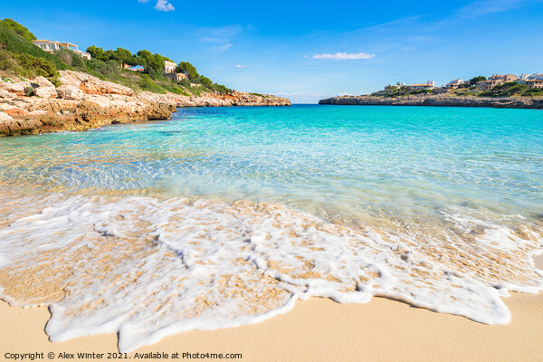 Beautiful sand beach bay on Majorca island Spain Picture Board by Alex Winter