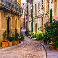 Buy canvas prints of Fornalutx on Majorca, Spain by Alex Winter