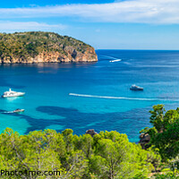 Buy canvas prints of Panorama view of Camp de Mar by Alex Winter