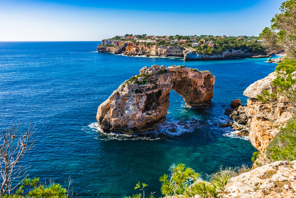 Famous natural rock arch, Es Pontas Picture Board by Alex Winter