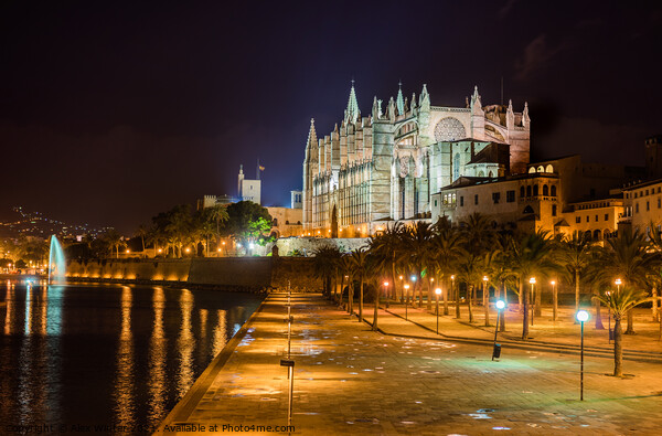 Cathedral La Seu and Parc de la mar at night Picture Board by Alex Winter