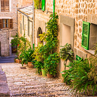 Buy canvas prints of Old village of Fornalutx by Alex Winter