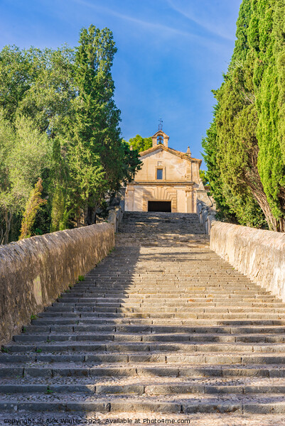 Calvary steps of Pollensa on Majorca island Picture Board by Alex Winter