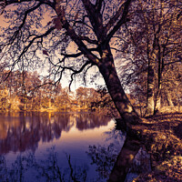 Buy canvas prints of Fall season landscape with lake water and autumn tree by Alex Winter