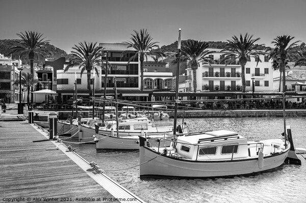 Spain, Mallorca, Port de Andratx Picture Board by Alex Winter