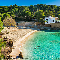 Buy canvas prints of Beach Cala Gat, beautiful seaside bay of Mallorca  by Alex Winter
