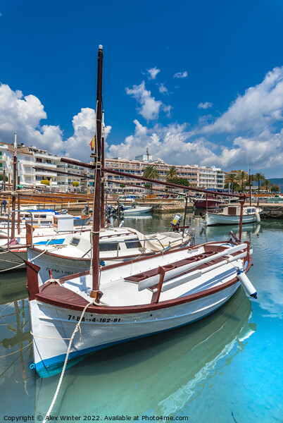 Boats at harbour port of Cala Bona Picture Board by Alex Winter