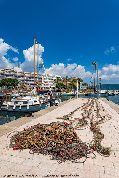 Fisher net at fishing harbor port of Sa Coma, cala Picture Board by Alex Winter