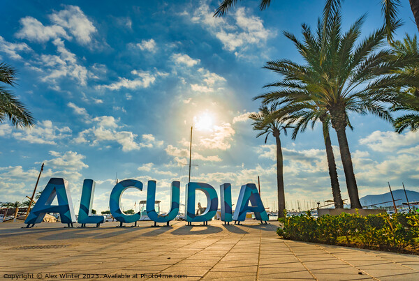 Alcudia sign at marina port on Mallorca Spain Picture Board by Alex Winter