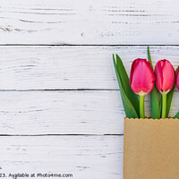 Buy canvas prints of tulip flowers by Alex Winter