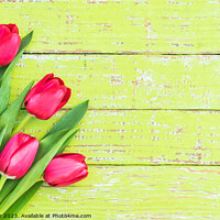 Buy canvas prints of Bouquet of tulips by Alex Winter