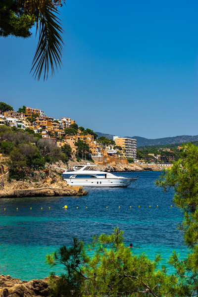 Cala fornells yacht majorca Picture Board by Alex Winter