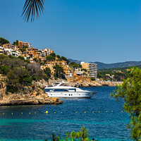 Buy canvas prints of Cala fornells yacht majorca by Alex Winter