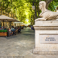 Buy canvas prints of Passeig des Born, Palma Majorca by Alex Winter