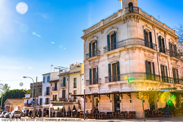 Palma de Majorca with view of Bar Cuba Picture Board by Alex Winter