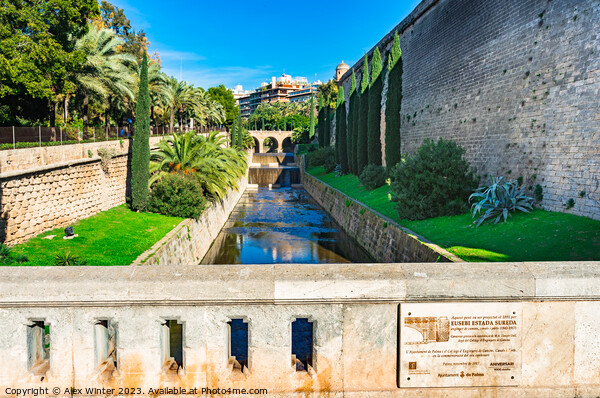 Historic canal in Palma de Majorca Picture Board by Alex Winter