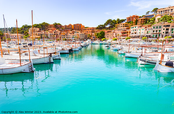 Port de Soller, Mallorca Spain Picture Board by Alex Winter