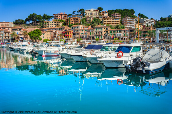 Port de Soller, Mallorca Spain Picture Board by Alex Winter