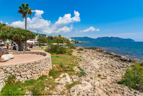 Seaside view of tourist resort in Cala Millor Picture Board by Alex Winter
