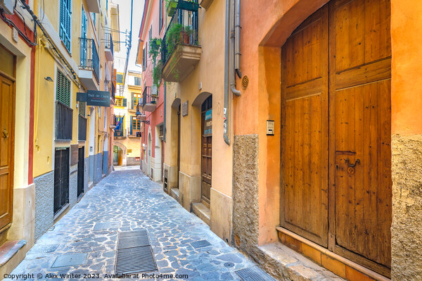 Narrow street at the old town of Palma de Majorca Picture Board by Alex Winter
