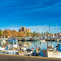 Buy canvas prints of Fishing harbor port of Palma de Majorca by Alex Winter