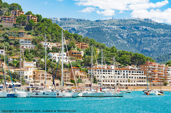 Sailing yachts boats at coast of Port de Soller on Picture Board by Alex Winter