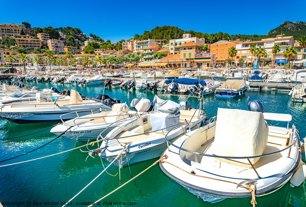 Port de Soller on Mallorca  Picture Board by Alex Winter