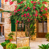 Buy canvas prints of bougainvillea house by Alex Winter