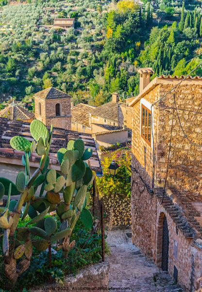 Old village of Fornalutx on Majorca Picture Board by Alex Winter