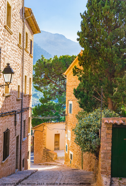 Old village of Fornalutx on Majorca Picture Board by Alex Winter