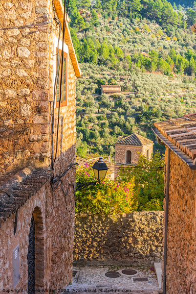 Old village of Fornalutx on Majorca Picture Board by Alex Winter