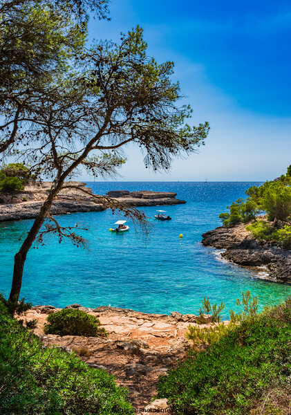 Idyllic bay with boats on Mallorca island Picture Board by Alex Winter