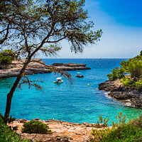 Buy canvas prints of Idyllic bay with boats on Mallorca island by Alex Winter