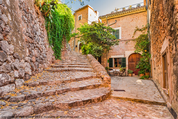 Spain Mallorca, old village of Fornalutx, Balearic Picture Board by Alex Winter