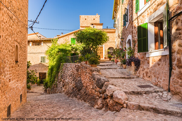 Beautiful street in Fornalutx village on Mallorca Picture Board by Alex Winter