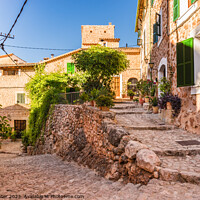 Buy canvas prints of Beautiful street in Fornalutx village on Mallorca by Alex Winter