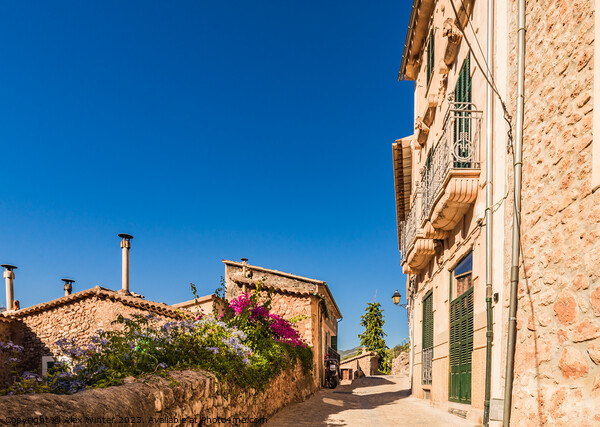 Beautiful street in Fornalutx village on Mallorca Picture Board by Alex Winter