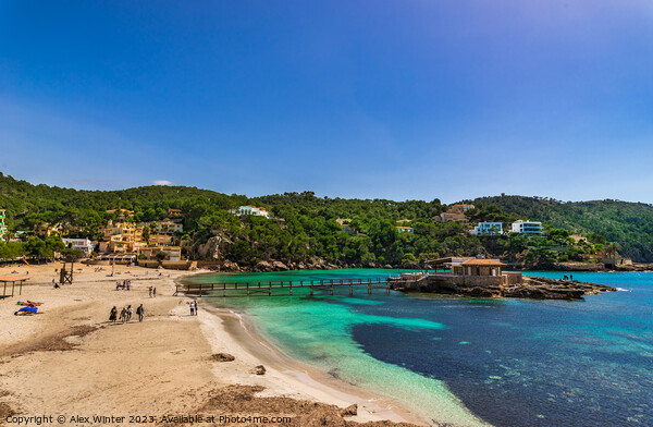 Camp de Mar, Majorca Spain, Balearic islands Picture Board by Alex Winter