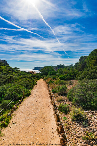 footpath to coast bay on Mallorca island Picture Board by Alex Winter