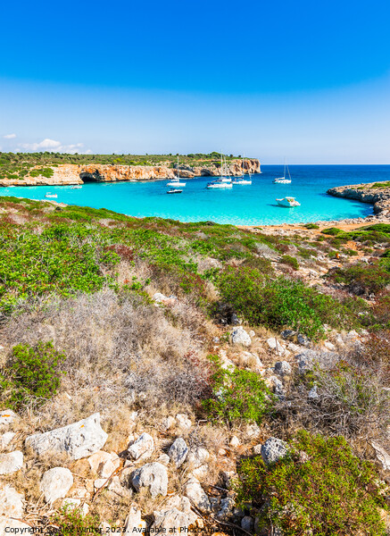 Cala Varques Picture Board by Alex Winter