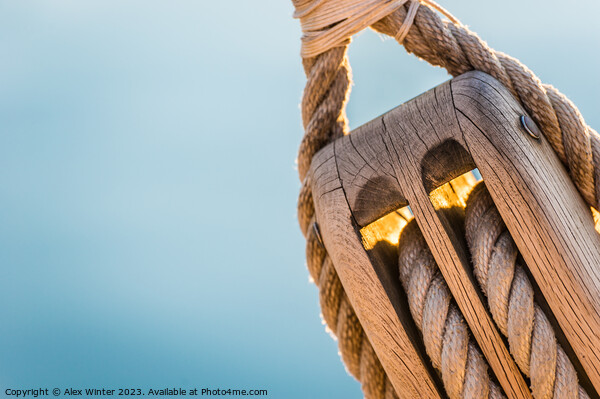 Detail image of wooden pulley with ropes of an classical sailing yacht Picture Board by Alex Winter