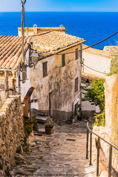 Old village of Banyalbufar on Mallorca Picture Board by Alex Winter