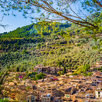 Buy canvas prints of fornalutx majorca by Alex Winter