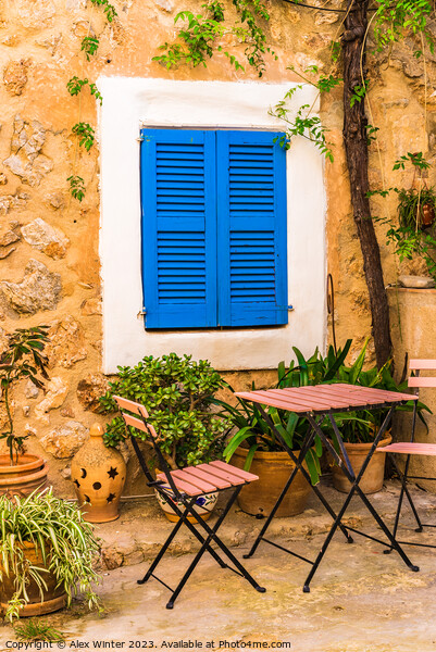 patio house with blue window shutters Picture Board by Alex Winter