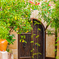 Buy canvas prints of Romantic mediterranean house entrance door by Alex Winter